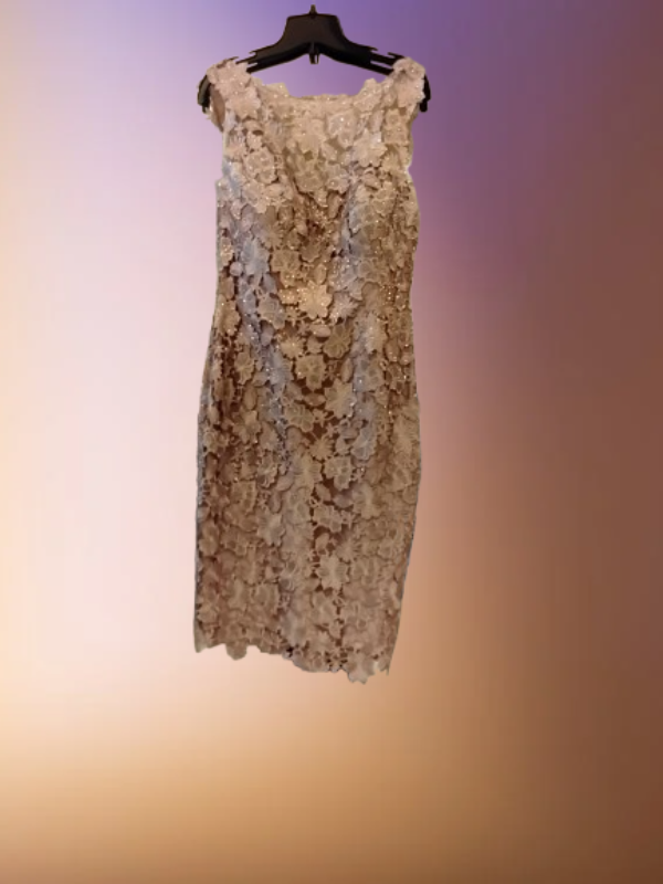 Floral beige lace dress