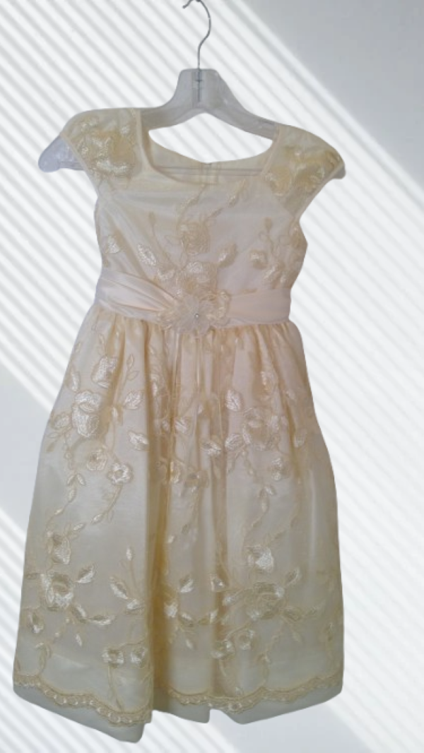 Multicolor floral sleeveless dress for girl