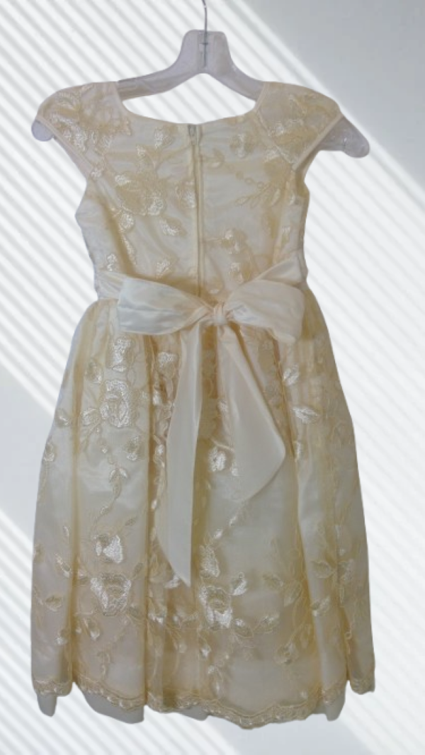 Multicolor floral sleeveless dress for girl