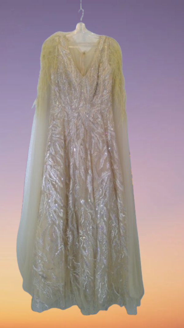 Elegant champagne lace dress for  any party