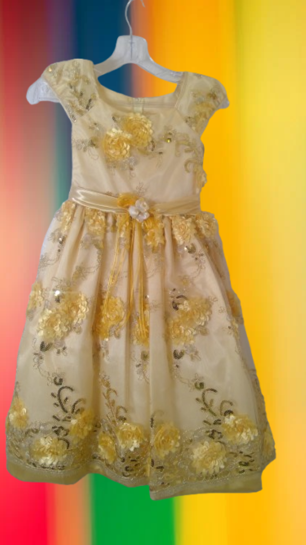 Multicolor floral  dress for girl for any event
