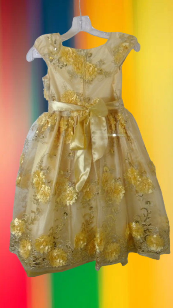 Multicolor floral  dress for girl for any event