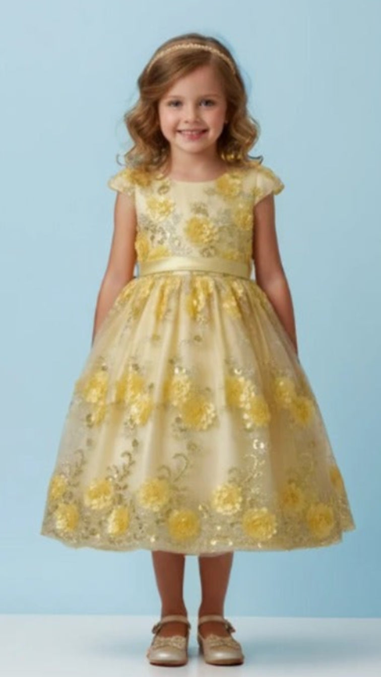 Multicolor floral  dress for girl for any event