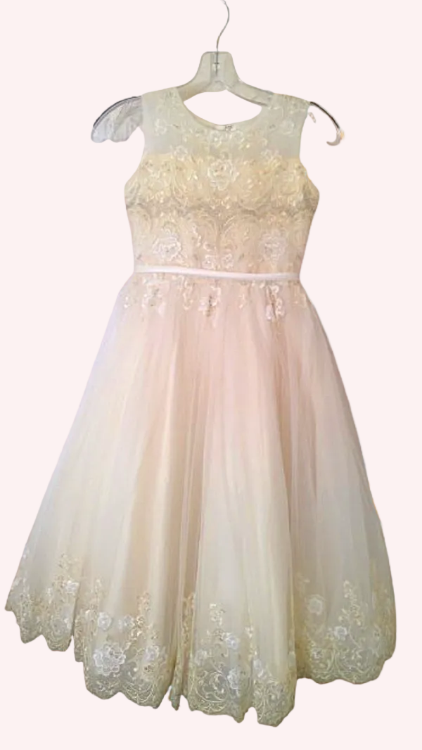 Multicolor floral  dress for girl for any event